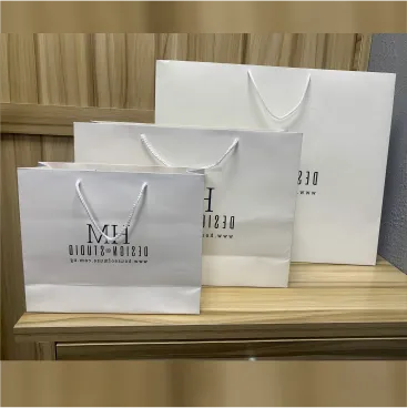 Customized high best quality top branded custom retractable promotional luxury corporate personalized shopping paper bag design and printing in Lagos, Abuja, Nigeria, Africa.