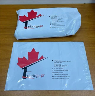Best high top quality customized branded custom promotional retractable premium courier mailer nylon bag design and printing in Lagos,
                                                        Abuja, Nigeria, Africa.